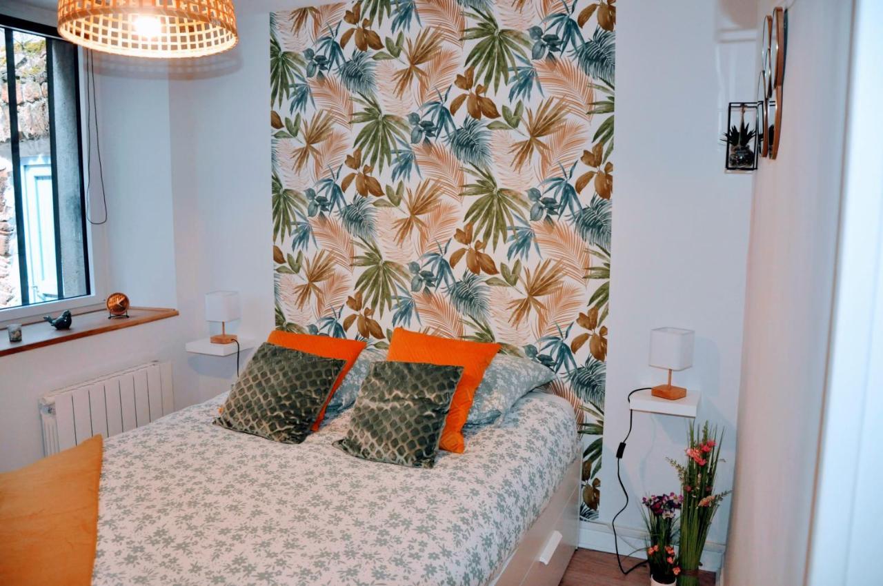 Dormir A Brioude - Appartement 'Esprit Nature' מראה חיצוני תמונה